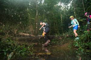 BIB: 
                            <button type="button" onclick="openModal(22542896)" class="btn btn-primary btn-sm float-right btn-popup" data-toggle="modal" data-target=".modal-high-quality">
                        <i class="fas fa-shopping-cart"></i> Add to Cart
                    </button>
                                            <button type="button" onclick="isThisMe(22542896, true)" class="btn btn-success btn-sm float-right btn-popup btn-isme hidden" data-toggle="tooltip" data-placement="bottom" title="นี่คือรูปของคุณใช่ไหม คลิกที่นี่เพื่อเอาเข้าอัลบั้ม">
                        <i class="fas fa-plus"></i> Add to album
                    </button>
                    <button type="button" onclick="isThisMe(22542896, false)" class="btn btn-warning btn-sm float-right btn-popup btn-isnotme hidden">
                        <i class="fas fa-ban"></i> Remove from album
                    </button>